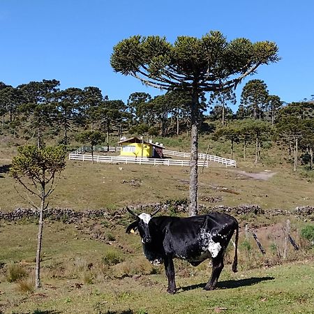 אורוביסי Casa E Cabana De Campo Fazenda Borba מראה חיצוני תמונה
