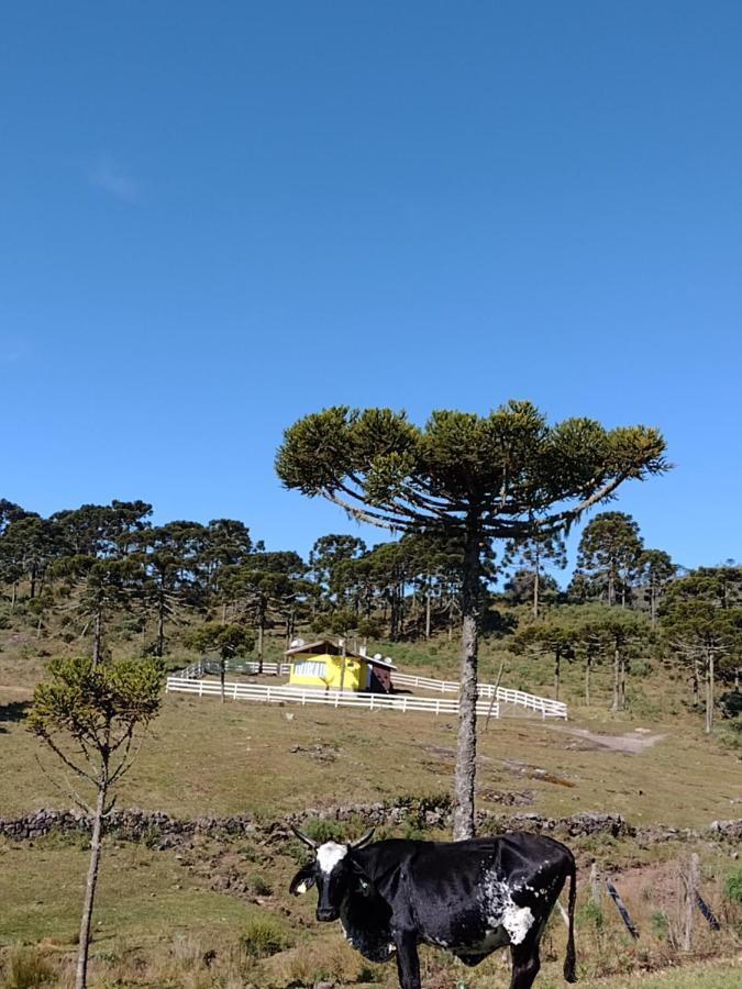אורוביסי Casa E Cabana De Campo Fazenda Borba מראה חיצוני תמונה