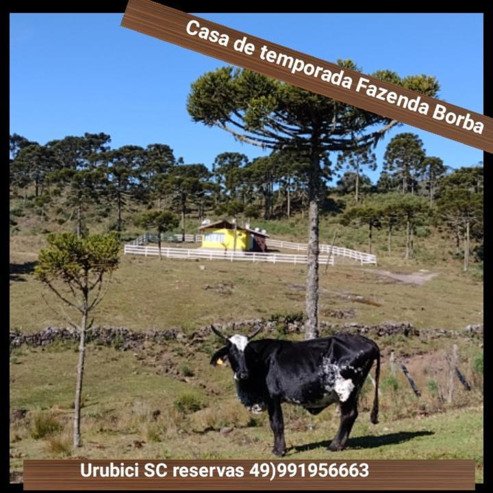 אורוביסי Casa E Cabana De Campo Fazenda Borba מראה חיצוני תמונה