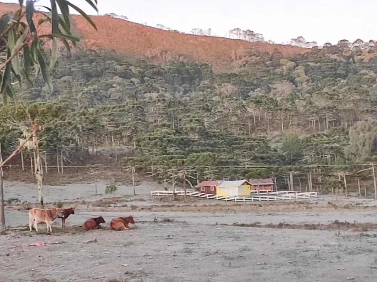 אורוביסי Casa E Cabana De Campo Fazenda Borba מראה חיצוני תמונה