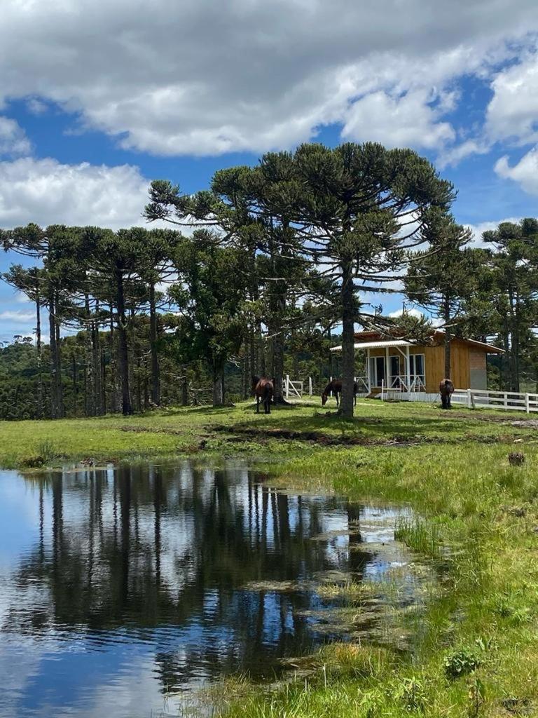 אורוביסי Casa E Cabana De Campo Fazenda Borba מראה חיצוני תמונה