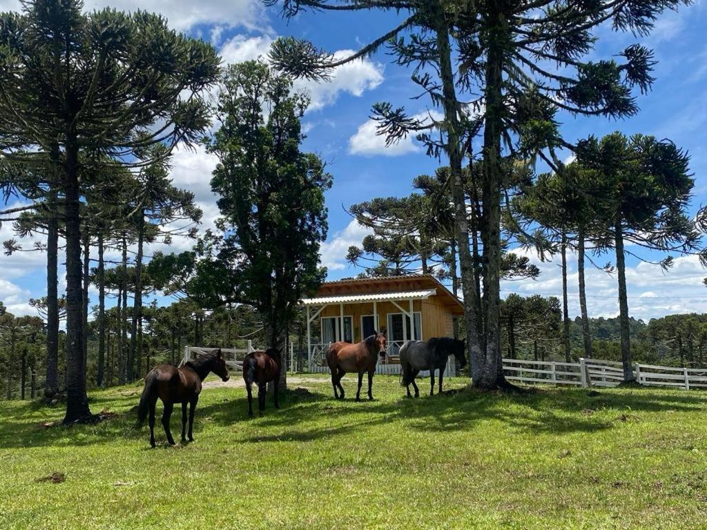 אורוביסי Casa E Cabana De Campo Fazenda Borba מראה חיצוני תמונה