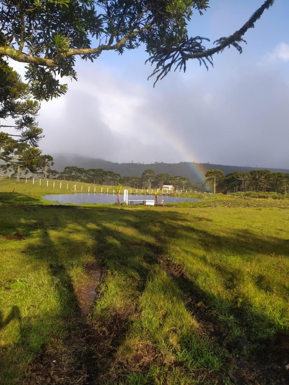 אורוביסי Casa E Cabana De Campo Fazenda Borba חדר תמונה