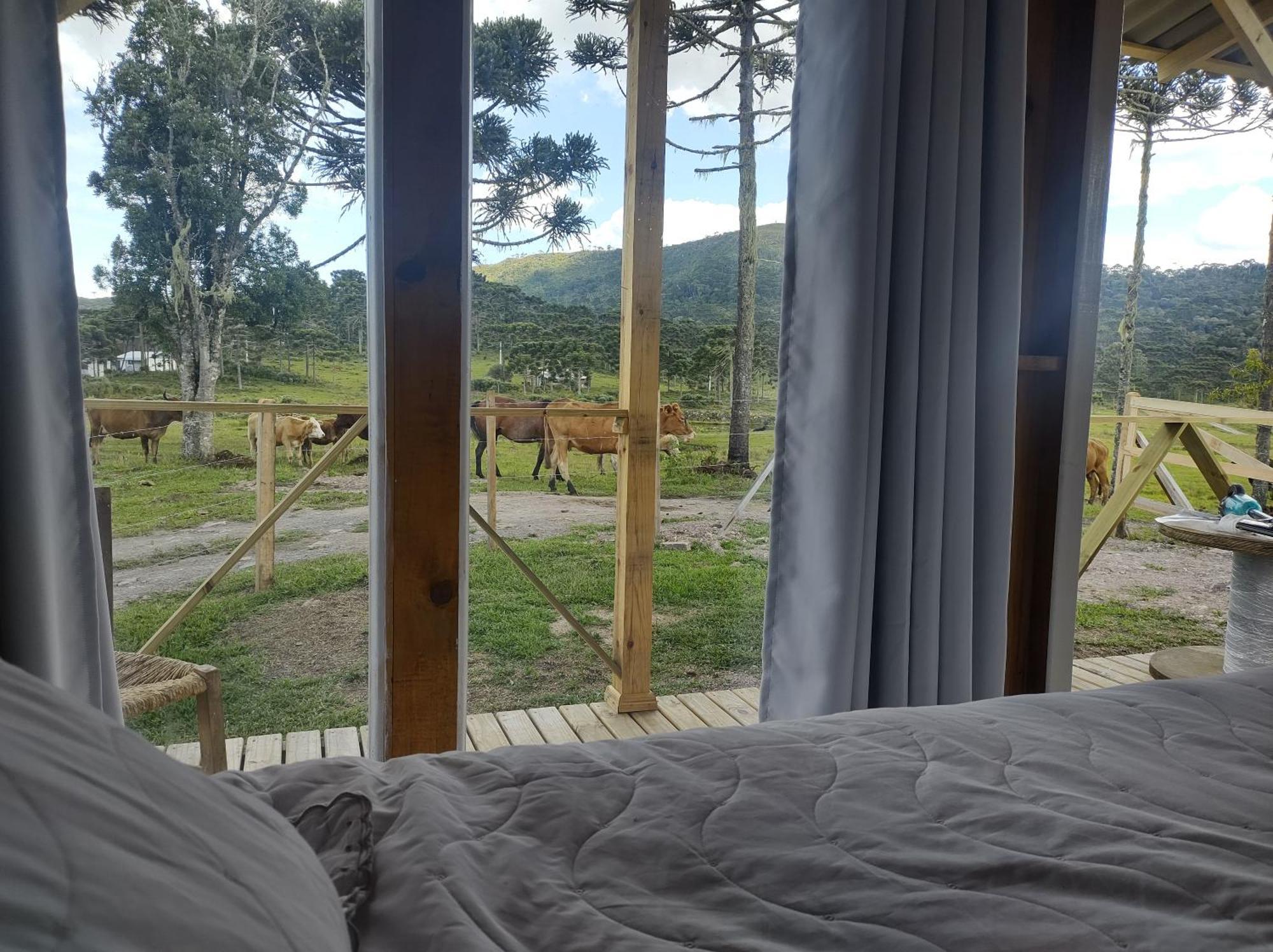 אורוביסי Casa E Cabana De Campo Fazenda Borba חדר תמונה