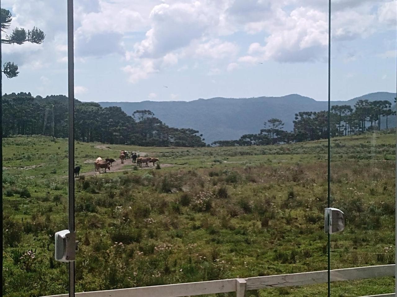 אורוביסי Casa E Cabana De Campo Fazenda Borba מראה חיצוני תמונה
