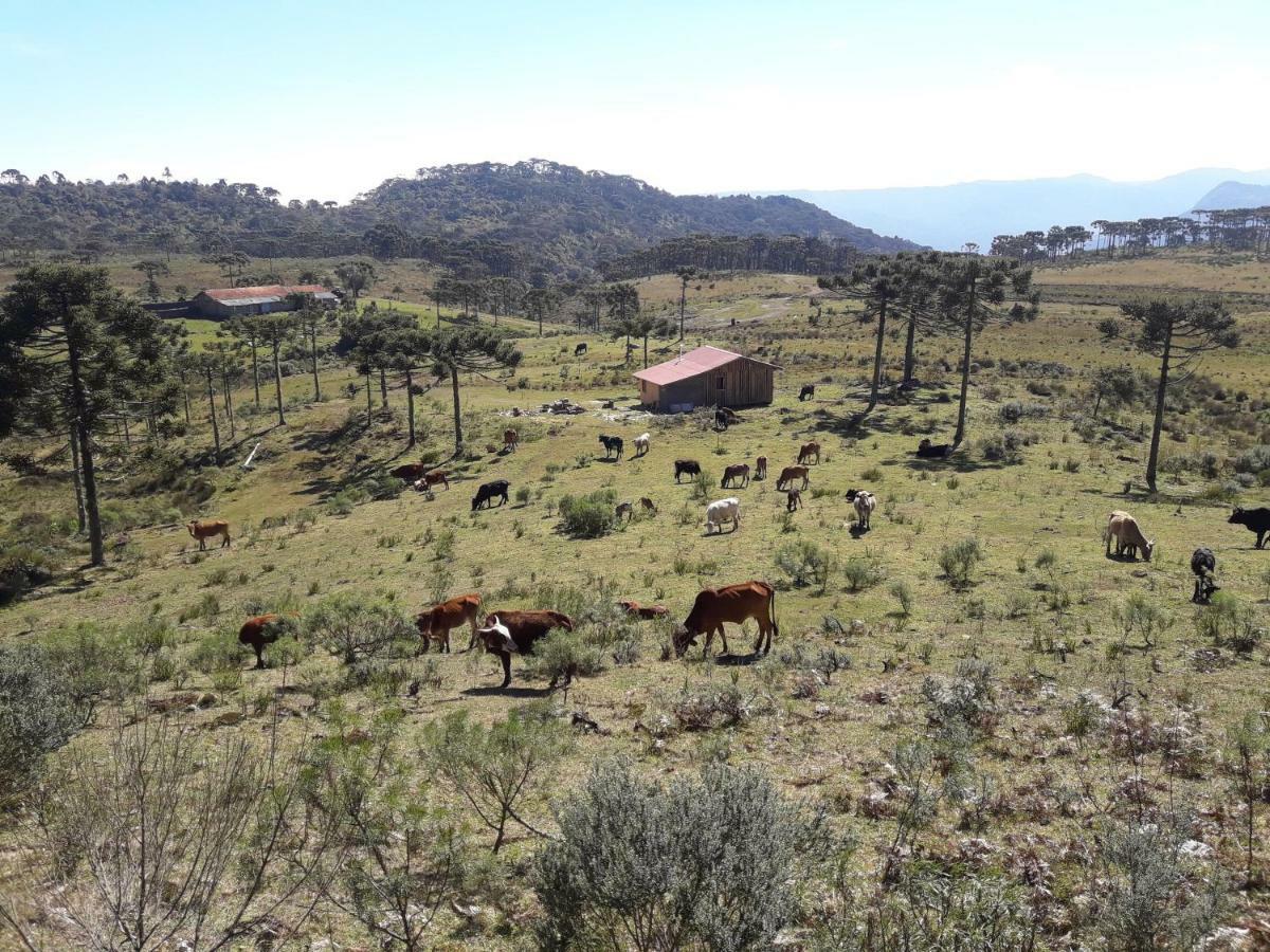 אורוביסי Casa E Cabana De Campo Fazenda Borba מראה חיצוני תמונה